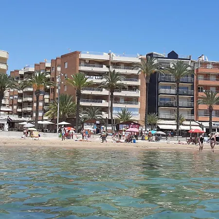 1a Linea Anri * Torrevieja